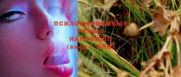 стаф Абаза