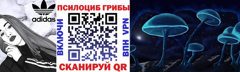Псилоцибиновые грибы прущие грибы  где найти   Емва 
